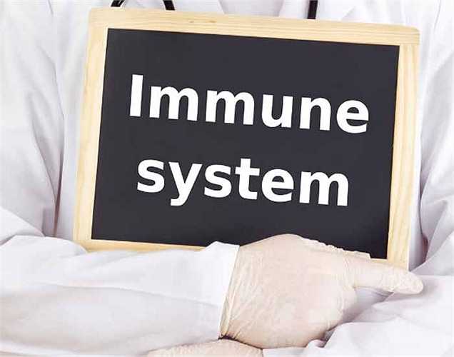 Tăng miễn dịch: Với lượng vitamin C cao, đậu bắp đóng một vai trò quan trọng trong việc tăng khả năng miễn dịch. Nếu bạn ăn thực phẩm này trong chế độ ăn, sẽ giúp bảo vệ bạn khỏi nhiều bệnh.