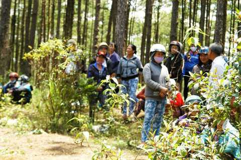 Nhiều người dân tập trung để xem dựng lại hiện trường vụ án giết người cướp ô tô.