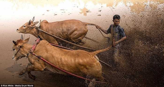 Các vận động viên vất vả vượt qua đoạn đường