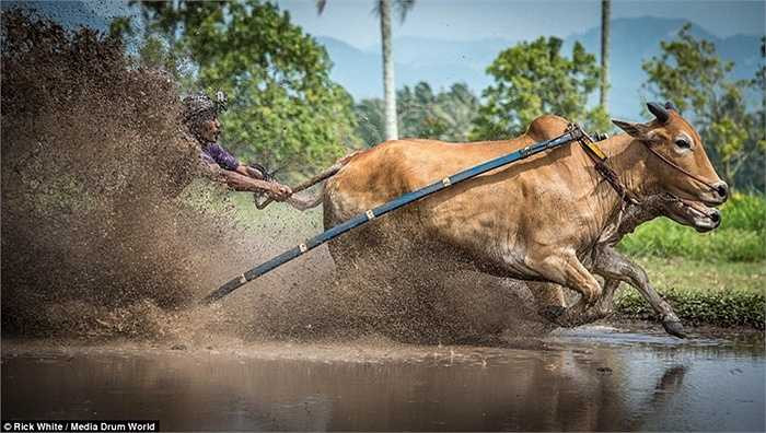 Cuộc đua vừa gay cấn vừa nguy hiểm với các tay đua