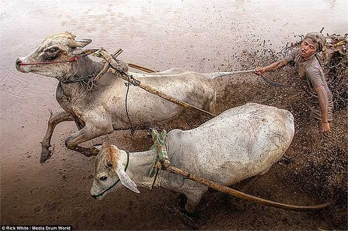 Bùn lầy bắn lên khắp nơi