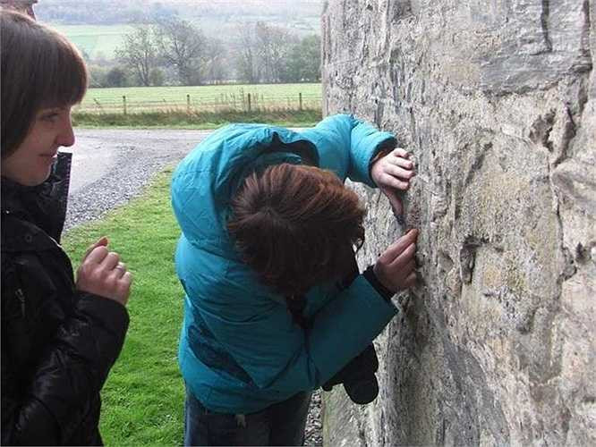 13. Nhà địa chất học - Mức lương trung hàng năm: 105.390 USD Mô tả: Nghiên cứu thành phần, cấu trúc và các khía cạnh vật lý khác của Trái Đất. Yêu cầu: Ít nhất phải có bằng cử nhân, một số khu vực yêu cầu phải có giấy phép.