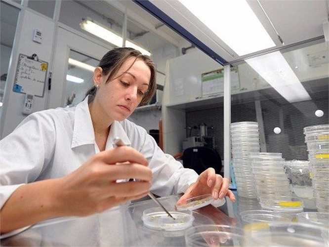 7. Nhà khoa học chính trị - Mức lương trung bình năm: 104.000 USD Mô tả công việc: Nghiên cứu về nguồn gốc, sự phát triển và các hoạt động của hệ thống chính trị. Yêu cầu: Cử nhân, tiếp theo là thạc sĩ hoặc tiến sĩ ngành khoa học chính trị, hành chính công, hoặc một lĩnh vực liên quan.