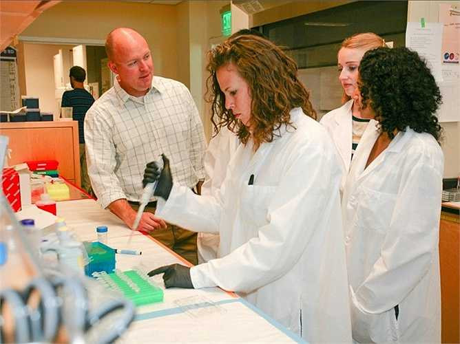 9. Kỹ sư y sinh học - Mức lương trung bình năm: 91.760 USD Mô tả công việc: Phân tích và thiết kế giải pháp cho các vấn đề trong sinh học và y học, với mục tiêu nâng cao chất lượng và hiệu quả của việc chăm sóc bệnh nhân. Yêu cầu: Thông thường cần bằng cử nhân trong kỹ thuật y sinh từ một chương trình đào tạo được công nhận. Ngoài ra, họ có thể là cử nhân trong một lĩnh vực kỹ thuật khác và sau đó tốt nghiệp thêm ngành kỹ thuật y sinh hoặc đã được đào tạo qua về kỹ thuật y sinh.