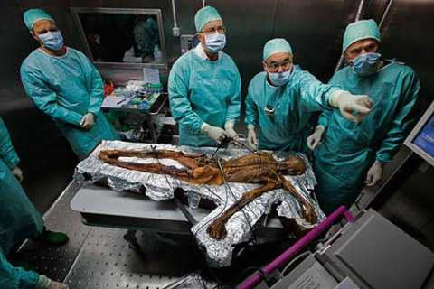 Xác ướp đang được nghiên cứu Xác ướp đang được nghiên cứu