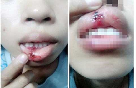 (Ảnh do nhân vật cung cấp)