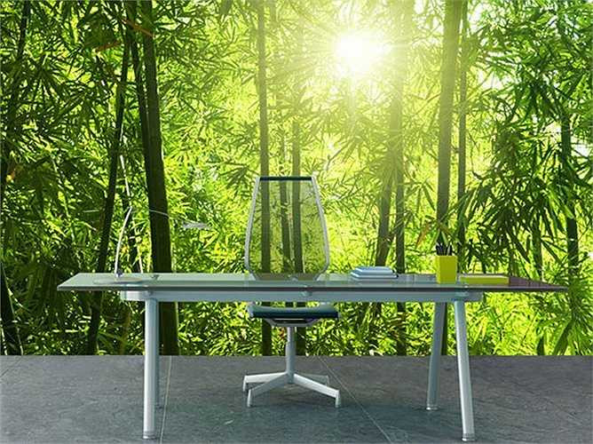 Bức tranh dán tường phong cảnh đẹp mắt tạo cảm giác như bạn mang cả thiên nhiên vào nhà