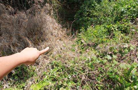 Vị trí từng có ngôi mộ của cô gái Vũ Thị L.