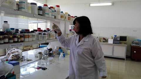 Dù có những lúc không thành công nhưng GS.TS Nguyễn Thị Lang chưa bao giờ từ bỏ đam mê và tâm huyết với cây lúa. Dù có những lúc không thành công nhưng GS.TS Nguyễn Thị Lang chưa bao giờ từ bỏ đam mê và tâm huyết với cây lúa.