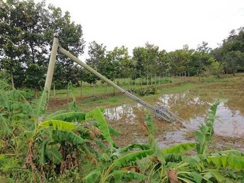 Trụ điện bị gãy khắp nơi