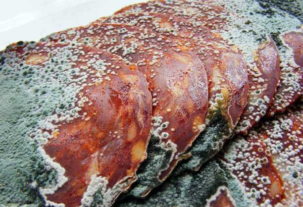 Những món ăn nhìn là muốn... xỉu trên thế giới