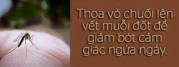 Infographic: Bất ngờ với 12 công dụng thần kì của chuối