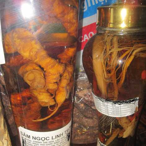 Chẳng có cơ sở gì để khẳng định thứ củ được ngâm trong bình rượu này là sâm Ngọc Linh. Chẳng có cơ sở gì để khẳng định thứ củ được ngâm trong bình rượu này là sâm Ngọc Linh.