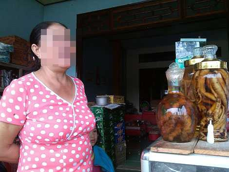 Là dân buôn sâm nhưng người phụ nữ này không buôn sâm Ngọc Linh. Là dân buôn sâm nhưng người phụ nữ này không buôn sâm Ngọc Linh.