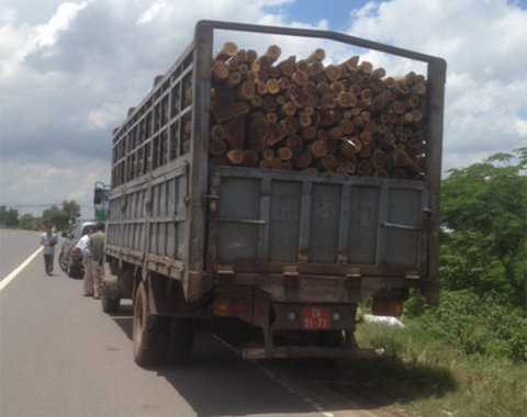 Các hình ảnh do ông Chung chụp lại khi phát hiện hai xe tải giả biển số quân đội