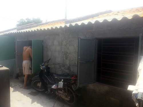 Trại nuôi rắn hổ mang của gia đình ông Thỉnh Trại nuôi rắn hổ mang của gia đình ông Thỉnh