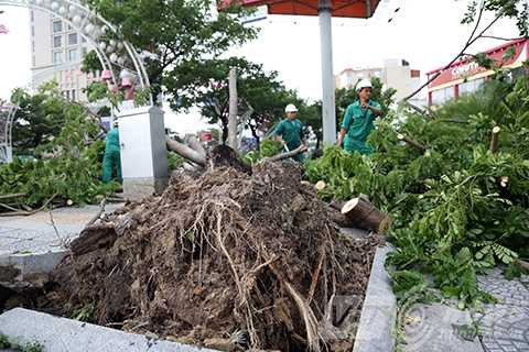 Hàng loạt tàu cá ngư dân, bị sóng đánh chìm, bão số 3, miền trung