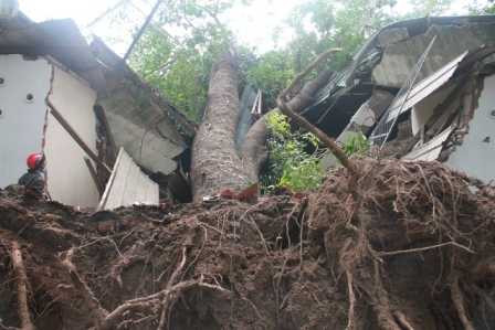 TP.HCM: Cầu vượt sạt lở, cây cổ thụ đè sập cung văn hóa