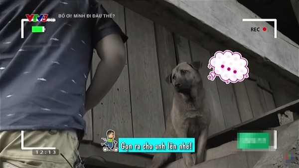 bố ơi mình đi đâu thế