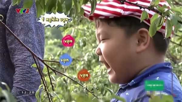 bố ơi mình đi đâu thế