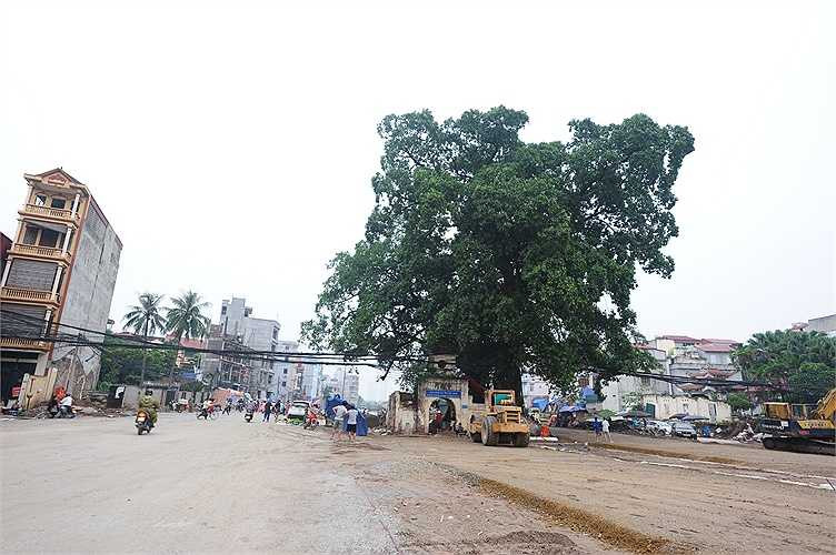 Dự án xây dựng đường vành đai 2 Hà Nội, đoạn Nhật Tân - Xuân La - Bưởi - Cầu Giấy dài 6,4 km có tổng mức đầu tư 304,7 triệu USD (tương đương 6,4 nghìn tỷ đồng). Được khởi công từ tháng 3/2012, và dự kiến sẽ hoàn thành trong năm 2015. Đến nay các hạng mục tại nút giao thông Bưởi qua địa phận phường Nghĩa Đô (Cầu Giấy, Hà Nội) đang được gấp rút thi công để kịp hoàn thành tiến độ.