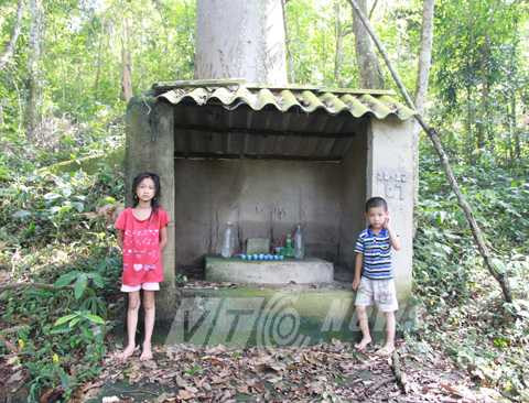 Đền thờ dưới gốc cây có cả trăm tổ ong