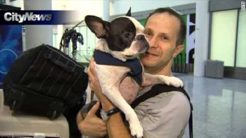 Chú chó Simba và chủ của nó