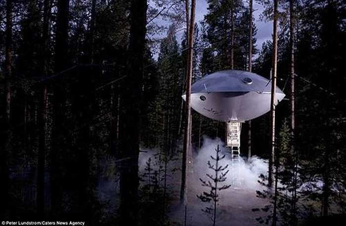 Dạo bước trong khu rừng yên tĩnh ở phía bắc Stockholm, du khách sẽ bắt gặp một công trình bằng kim loại kỳ lạ ở độ cao 6 m.