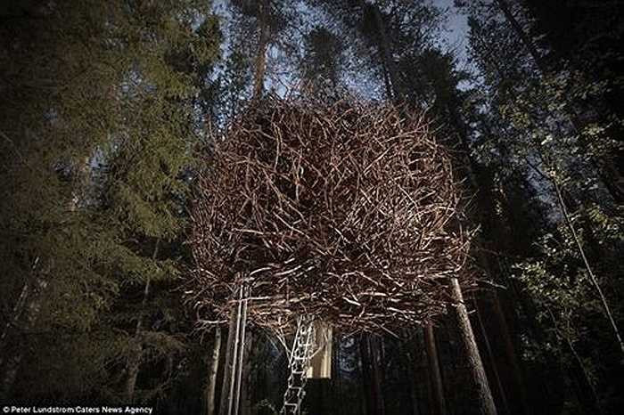 Trong số các phòng khác ở khu vực Harads, cách Stockholm 876 km về phía bắc, một phòng có dạng tổ chim độc đáo.