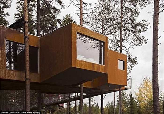 Khu phòng 'Dragonfly' (Chuồn chuồn) có một phòng hội thảo với sức chứa 12 người và đầy đủ trang thiết bị hiện đại.