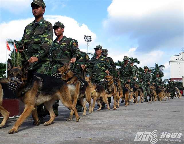 Sán nay (19/9), tại Cung Văn hóa Hữu Nghị Việt Tiệp TP Hải Phòng, Bộ Chỉ huy Bộ đội Biên phòng (BĐBP) TP Hải Phòng phối hợp với Học Viện Biên phòng, Trường Trung cấp 24 Biên phòng, Đoàn Thể dục thể thao BĐBP tổ chức biểu diễn võ thuật và chó chiến đấu của BĐBP năm 2015. 