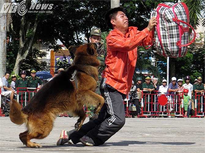 Đối tượng bất ngờ cướp tang vật đã bị chú chó truy bắt.