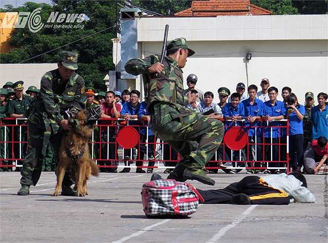 Các chiến sỹ cùng chó chiến đấu truy bắt đối tượng.