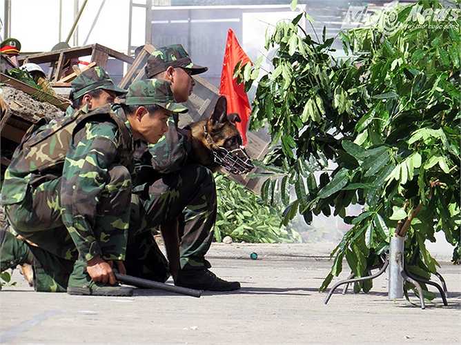 Mật phục, chuẩn bị xuất kích