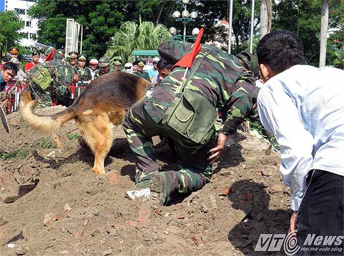 Các chú chó chiến đấu còn tham gia tìm kiếm cứu hộ, cứu nạn thiên tai.