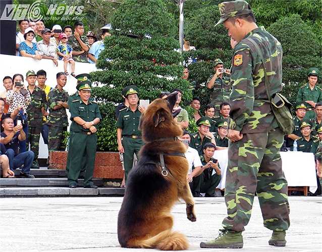Tập đếm theo người chỉ huy