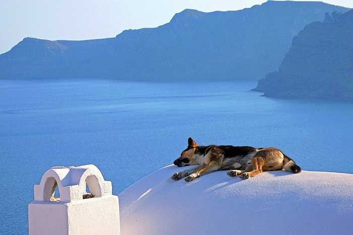 Phong cảnh yên bình ở Santorini, Hy Lạp