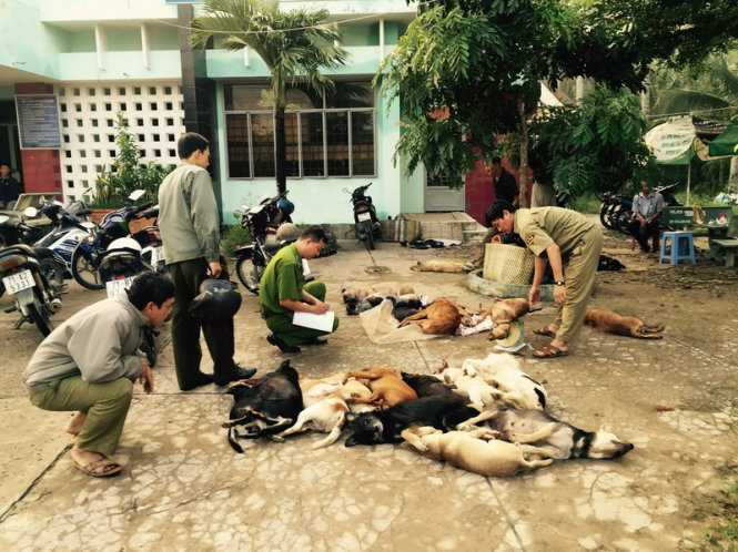 Công an đang lập biên bản vụ việc - Ảnh: Văn Thỉnh