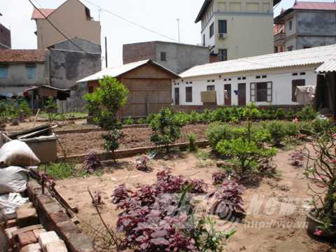 Một phần nghĩa địa Ngọc Xuyên đã chìm xuống lòng đất, bởi một số hộ dân lấp lên