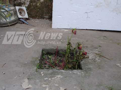 Mộ nhảy lên hiên nhà