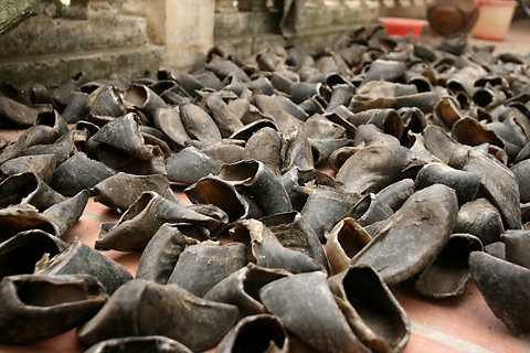 Móng trâu một thời là mặt hàng được thương lái Trung Quốc ồ ạt mua với giá rất cao - Ảnh minh họa