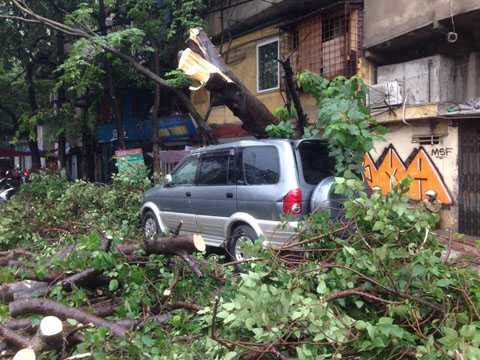 Cây đổ đè bẹp ô tô trên đường Trần Quang Khải, quận Hoàn Kiếm. Ảnh: TTXVN