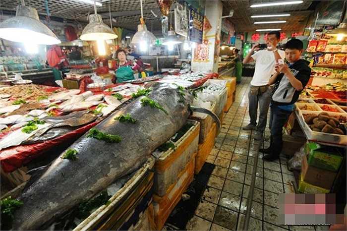 Con cá này sau đó được bán lại cho cửa hàng thủy sản với giá 8000 yên (khoảng 28 triệu đồng)