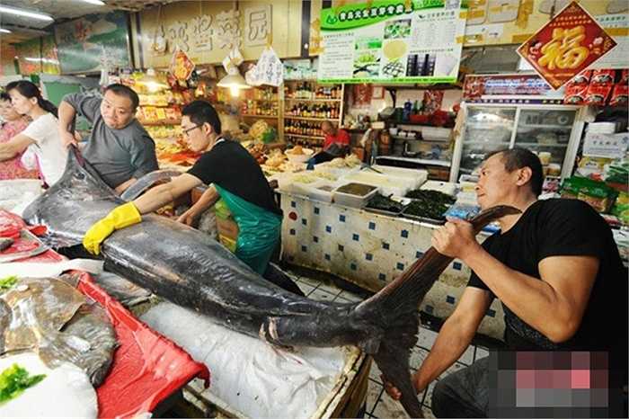 Con cá sau đó được phi lê bán ra cho khách hàng với giá 100 tệ/kg (khoảng hơn 300 nghìn đồng/kg