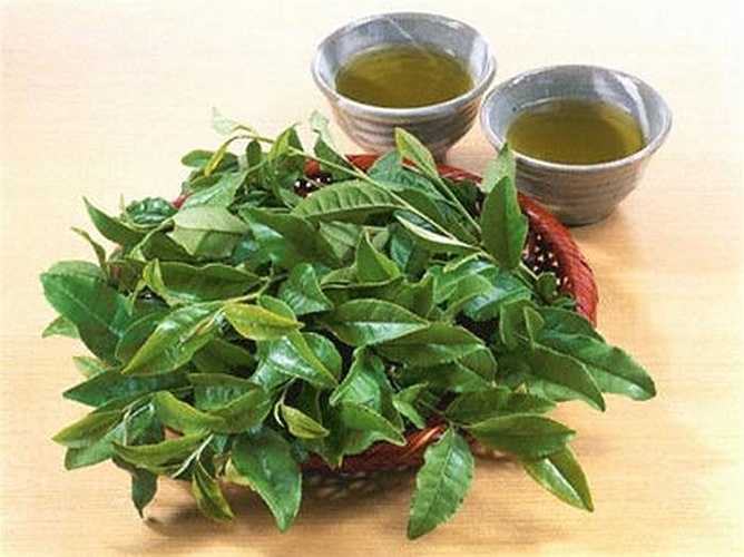 Trong trà xanh có đầy đủ các chất chống oxy hóa gọi là catechin, một nhóm khác được gọi là EGCG có thể ngăn chặn nhiều bệnh như alzheimer, parkinson, tim mạch và ung thư. Ngoài ra, uống trà xanh còn giúp tăng cường trí não, giảm căng thẳng, loại bỏ cholesterol xấu trong cơ thể và thúc đẩy khả năng sinh sản ở cả nam và nữ.