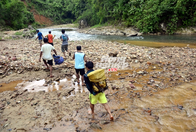 Vào rừng săn cá Vào rừng săn cá