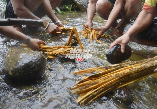 Giã vỏ cây Pachac Giã vỏ cây Pachac