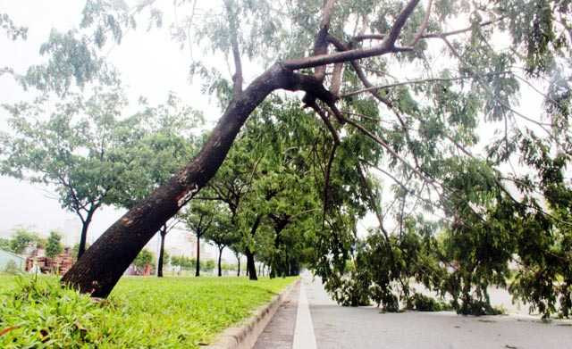 Rất may không có thiệt hại về người.