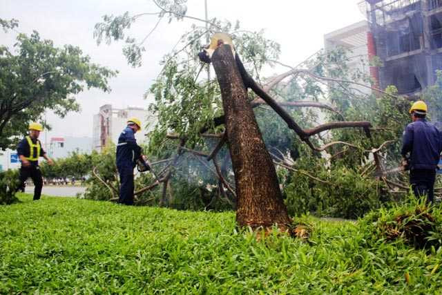 Lực lượng chức năng đã phải nhanh chóng xử lý hậu quả