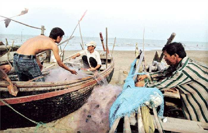 Tuy nhiên, cũng như các loại rắn nguy hiểm khác, nếu chẳng may bị cắn, người lặn bắt rắn biển có thể bị trúng độc và tử vong dưới nước. 